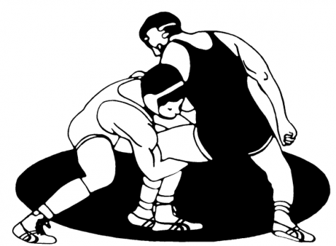 Baldwin wrestlers placed first and second at tournament Saturday. 
