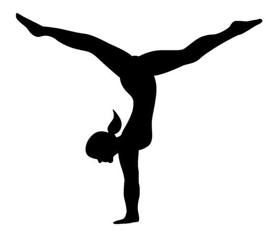 Gymnastics team members place individually at Moon Invitational