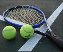 Two Baldwin boys doubles tennis teams competed at sectionals Tuesday, placing fifth and 13th out of 16 teams.