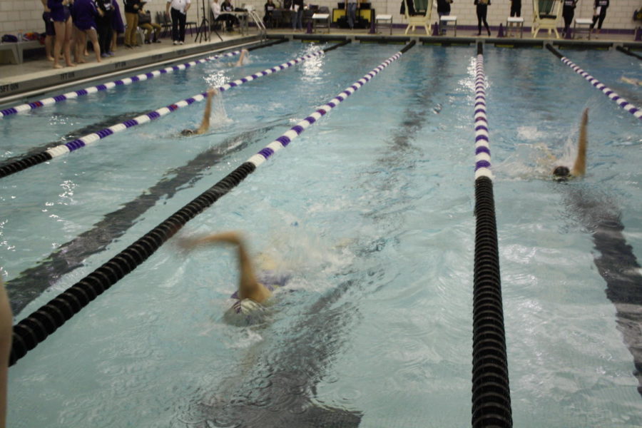 The boys and girls swim teams fell to Upper St. Clair during their meet on Thursday. 