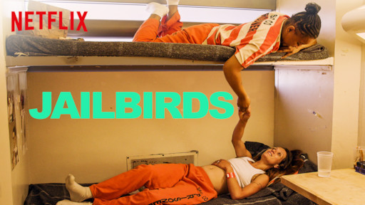 The Netflix series, Jailbird, depicts the life of inmates trapped in prison.