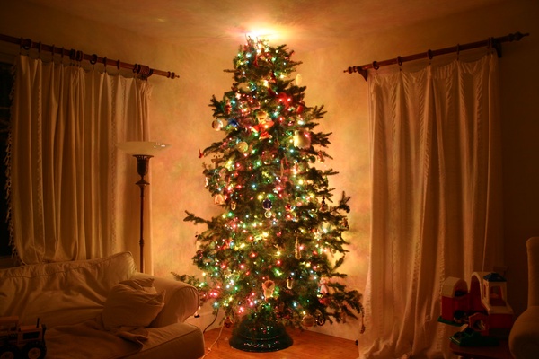 Easier to take care of as well as being reusable, fake Christmas trees are the better option for many people.