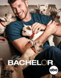 This seasons Bachelor brings nothing but drama and rollercoasters of emotions. 