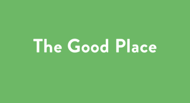 Michael Schur’s The Good Place is an amazing series and those who enjoy philosophy will think the same. 
