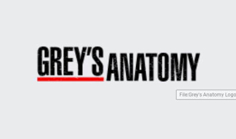 Even through season 19, Greys Anatomy still remains popular. 