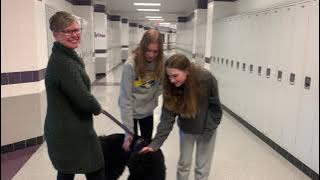 Baldwin High School now has a therapy dog to help ease student stress.