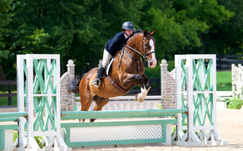 To make it to the national competition this year, Schoming had to place in the top two at a number of competitions.
