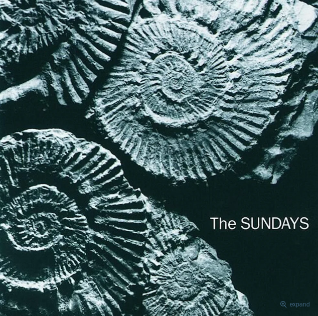 The debut album from the English rock band the Sundays, Reading, Writing and Arithmetic, questions the essence of humanity and explores the apprehension of venturing into young adulthood.
Photo via RoughTradeRecords.