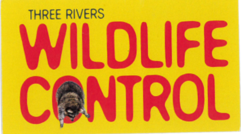 Three Rivers Wildlife Control