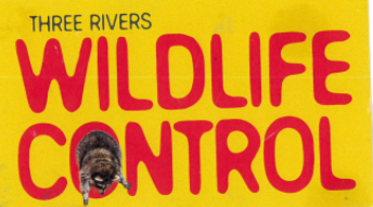 Three Rivers Wildlife Control