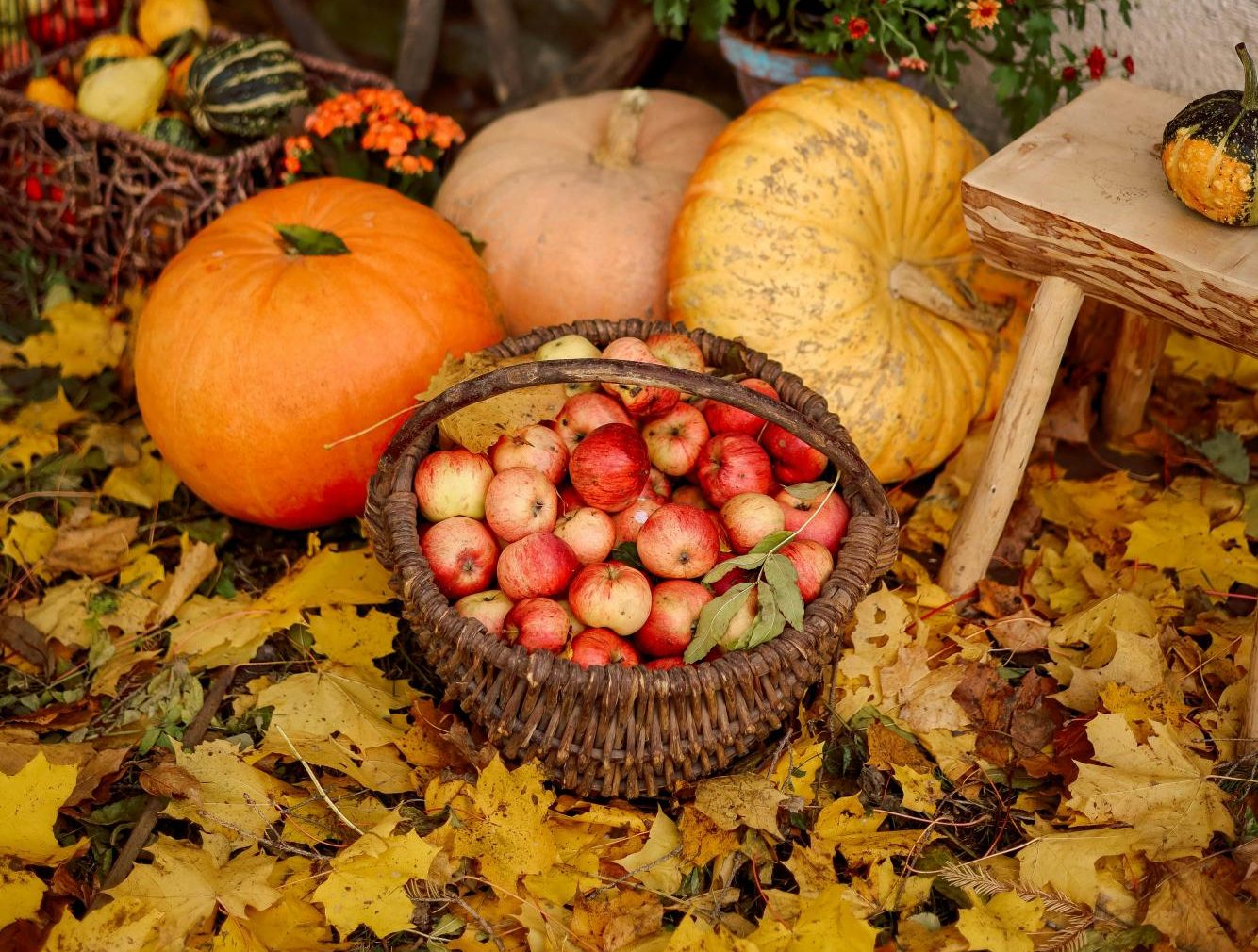 Some prefer apples over pumpkins, or vice versa, as the flavor of fall. Photo by Valeria Boltneva via Pexels.com