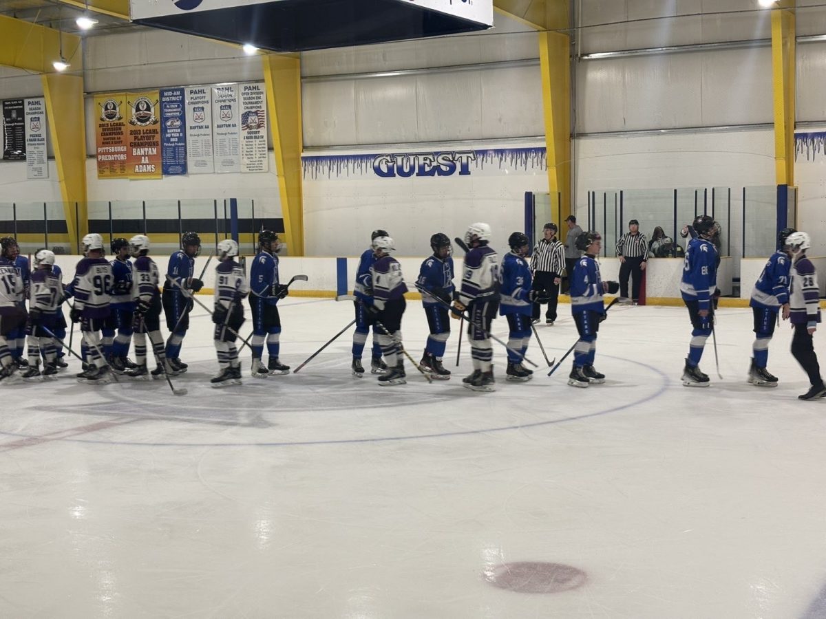 Baldwin players shake hands with the Hempfield players after the game. 