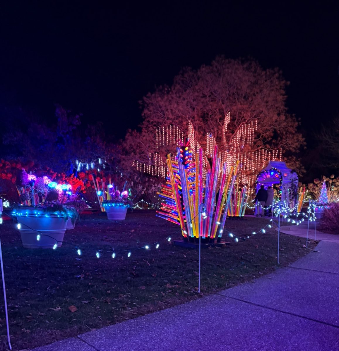 Phipps Conservatory lights up the walkthrough for the holidays this year.