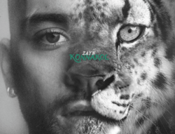 Zayn Milk's album Konnakol has a new South Asian sound. Photo via Mercury Records 